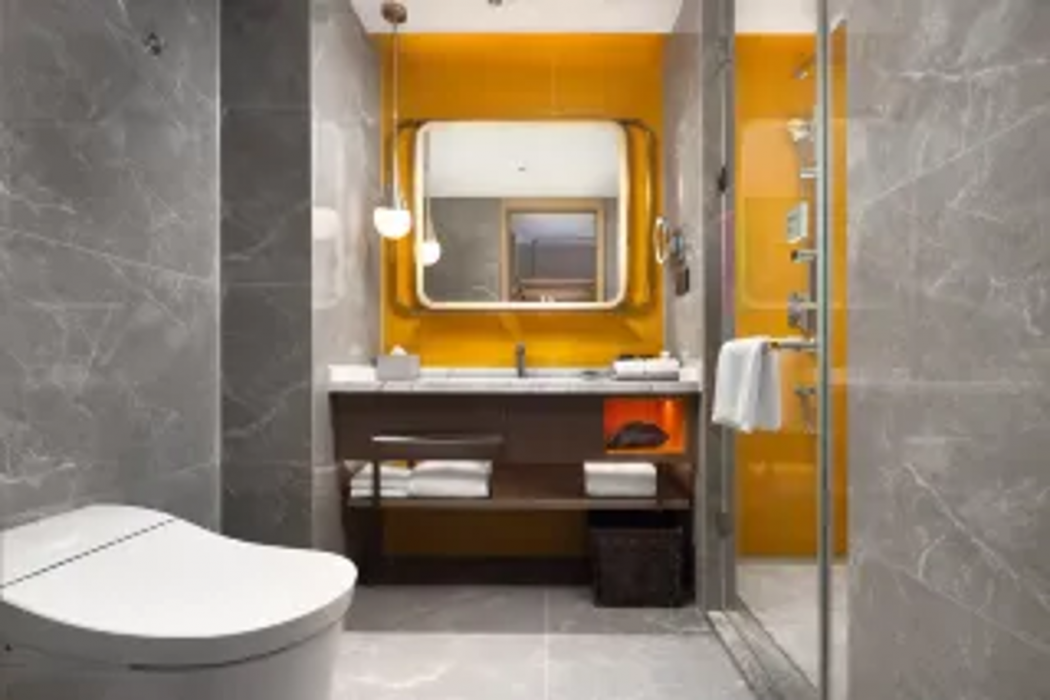 Home2 Suites by Hilton Liaocheng Linqing 14/52