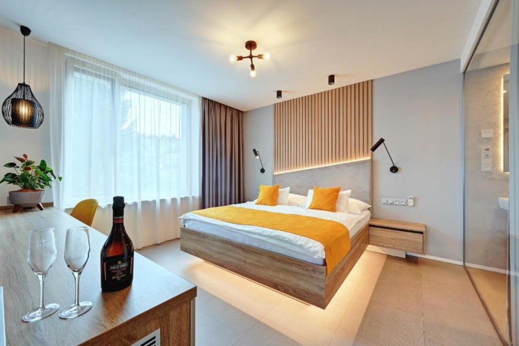 Wellness Hotel Fenix liberec 12/65