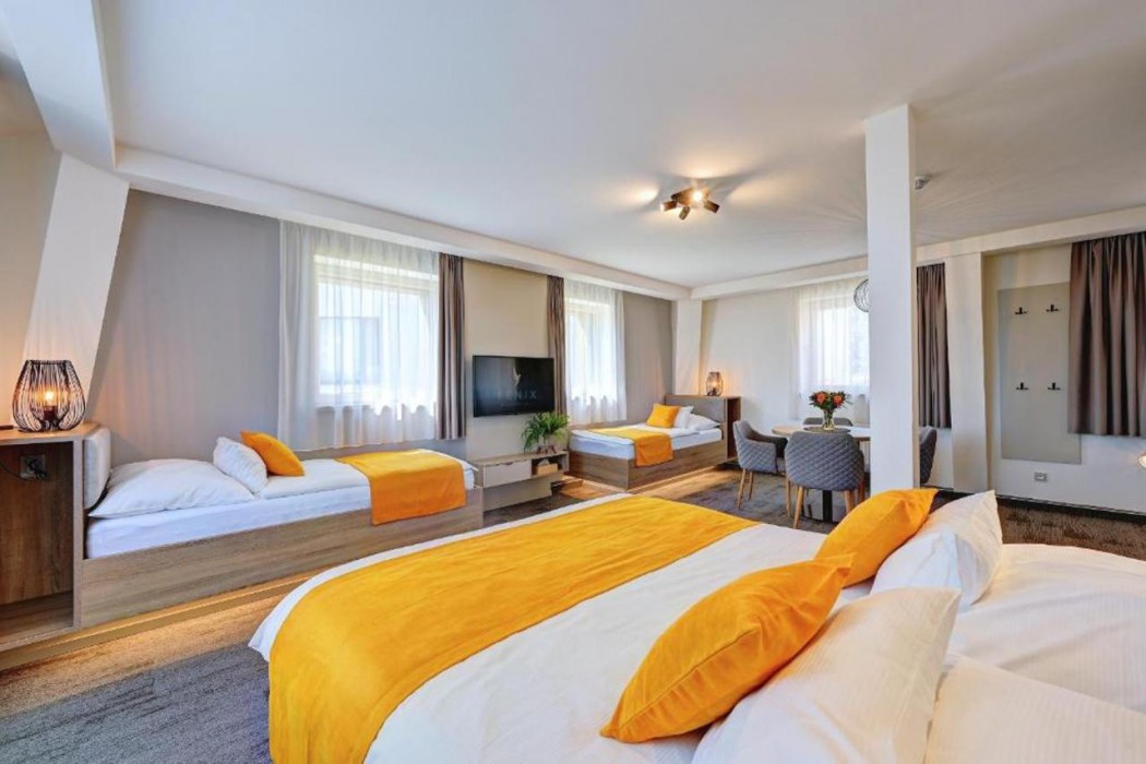 Wellness Hotel Fenix liberec 16/65