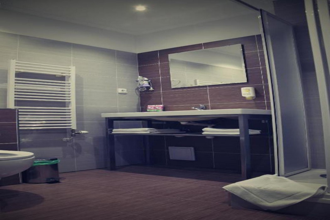 Hotel U dvou medvidku 17/57