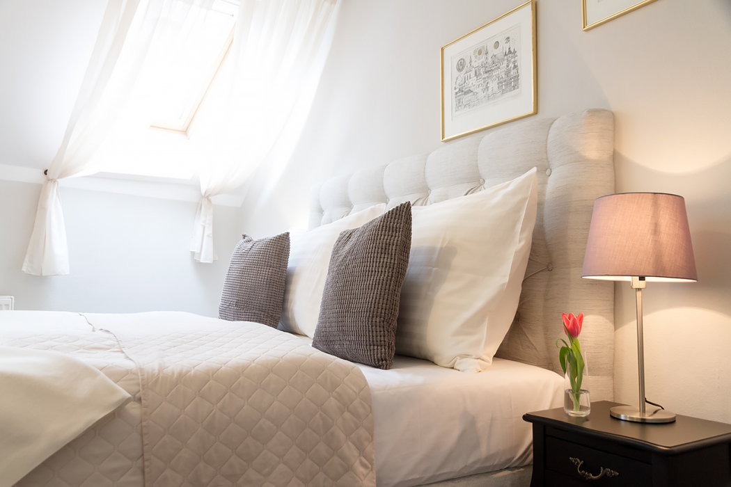 Boutique Hotel U Solne Brany 3/24