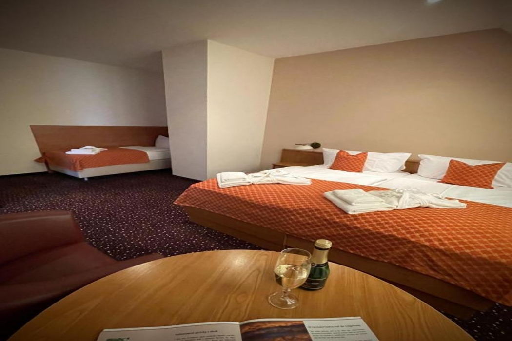 Lazensky hotel Pyramida I 5/90