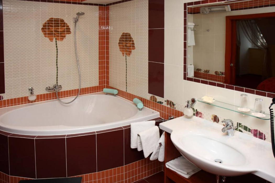 Hotel Ceska Koruna 28/76