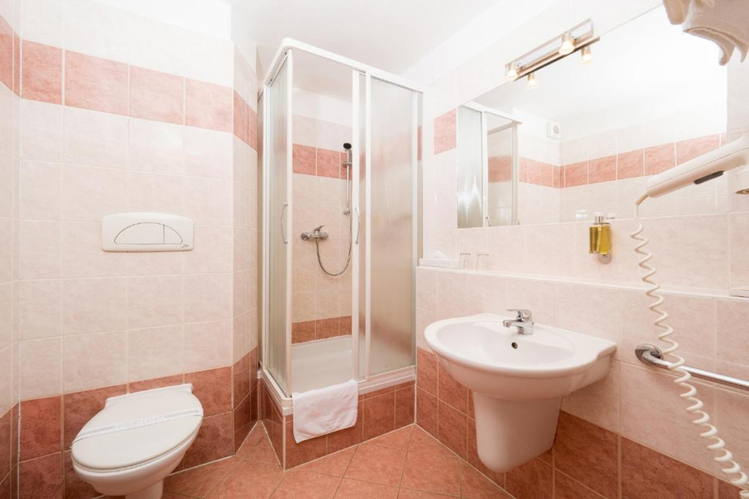 Hotel Ceska Koruna 26/76