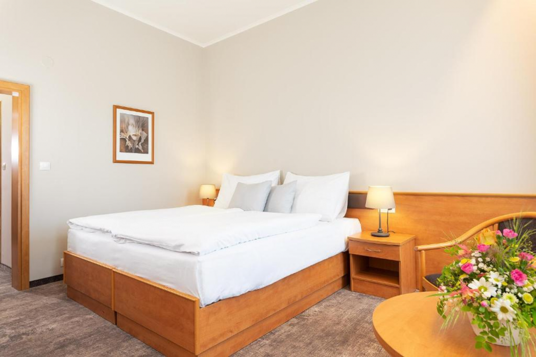 Hotel Ceska Koruna 20/76