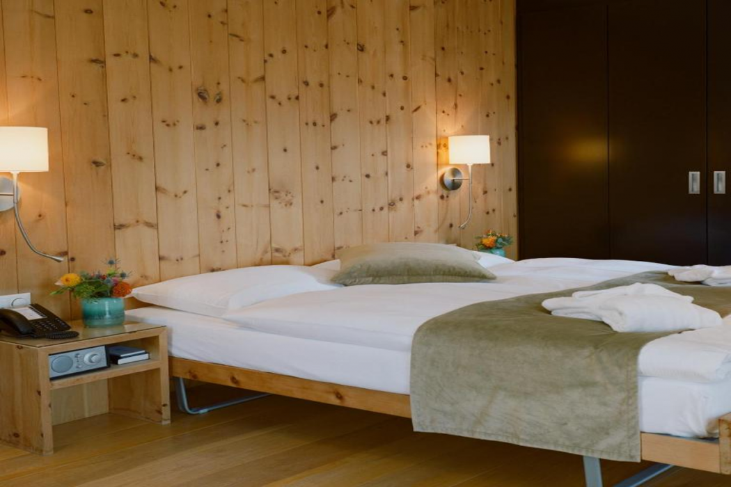 Hotel Adula 12/56