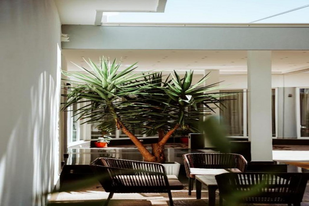 Atrium Deluxe Resort 写真4