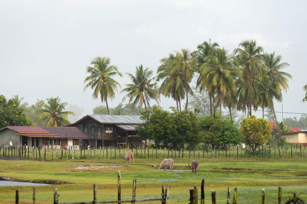 Limasan Villa Langkawi in LANGKAWI