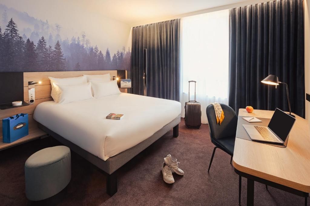 Novotel Annemasse Centre 16/63
