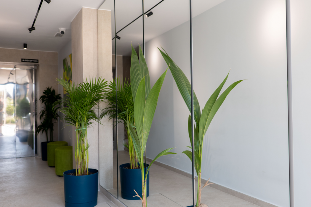 Victoria Boutique Hotel photo4