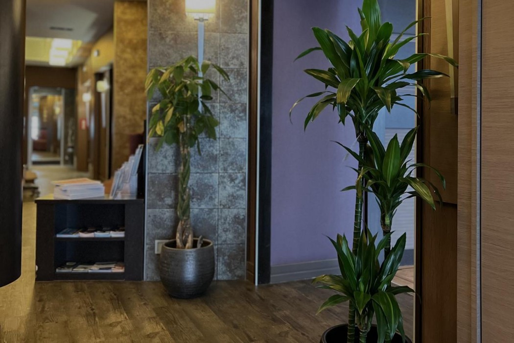 Hotel Borel 48/75
