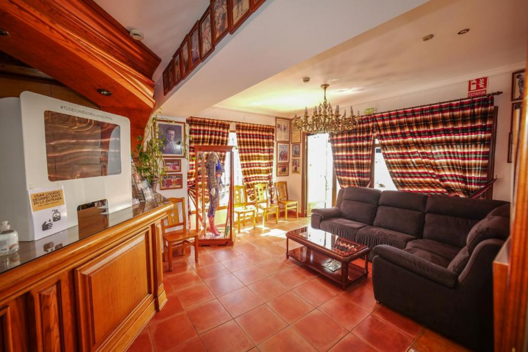 Hotel Flor de la Mancha 2/26