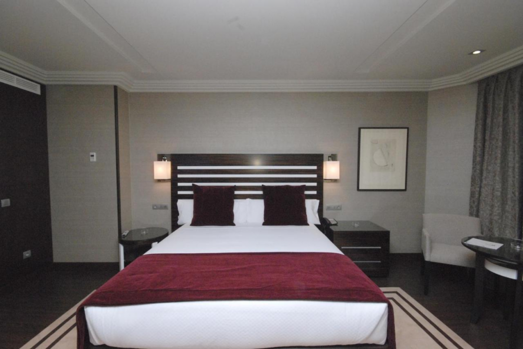 Hotel Los Penascales 6/41