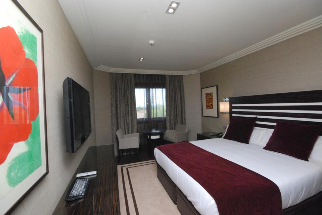 Hotel Los Penascales 10/41