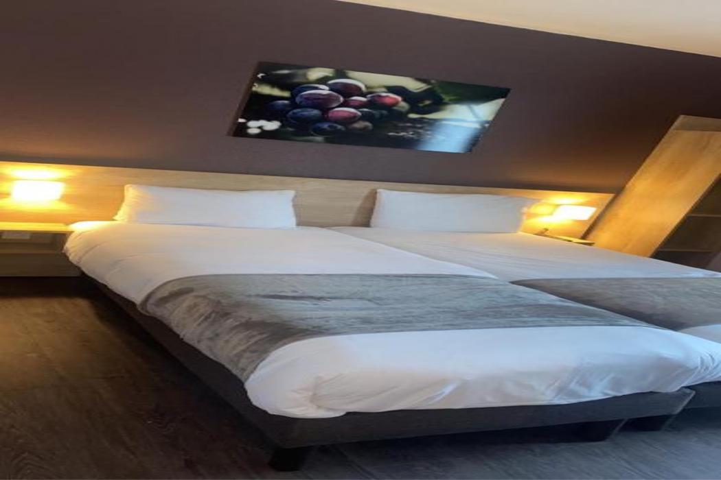 Hotel Wood Inn Merignac 12/52