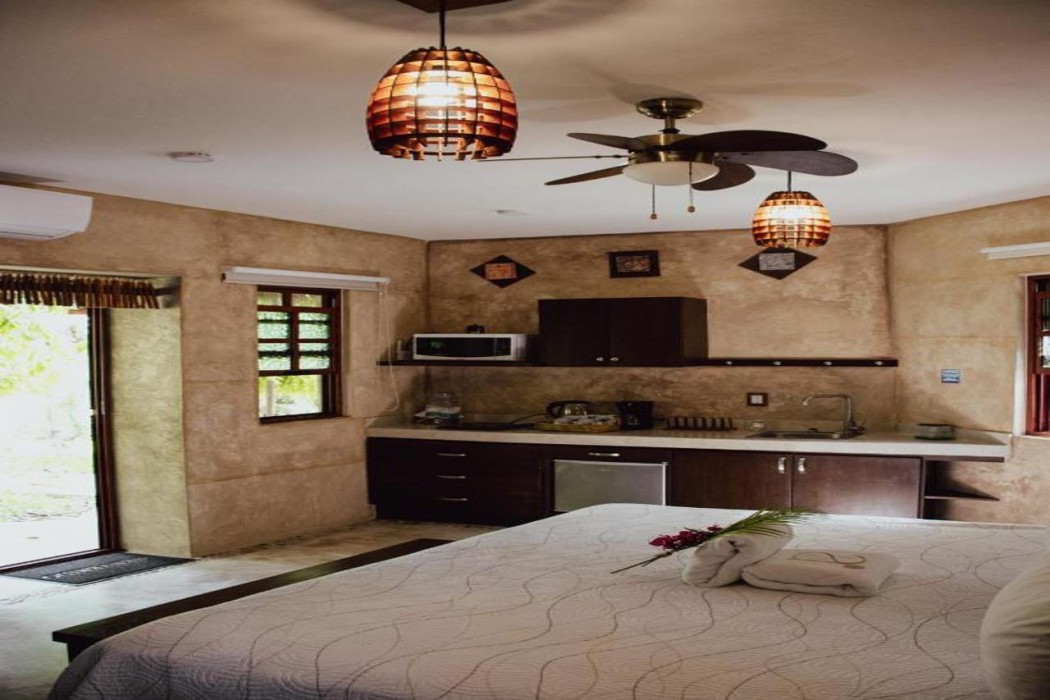 Hotel Boutique Aurea 8/58