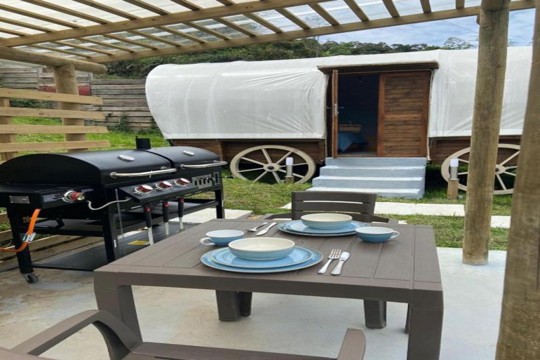 Glamping La Cepa 20/57
