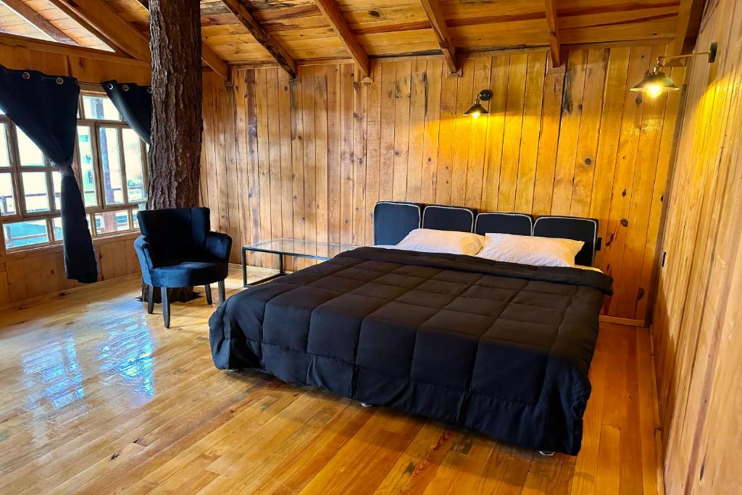 PINE TREE Hotel Boutique and Cabanas 8/56