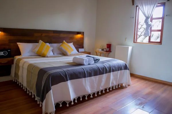 Arte Sano Hotel San Cristobal 9/49