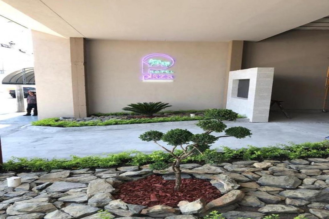 Hotel Plaza Arteaga 2/44