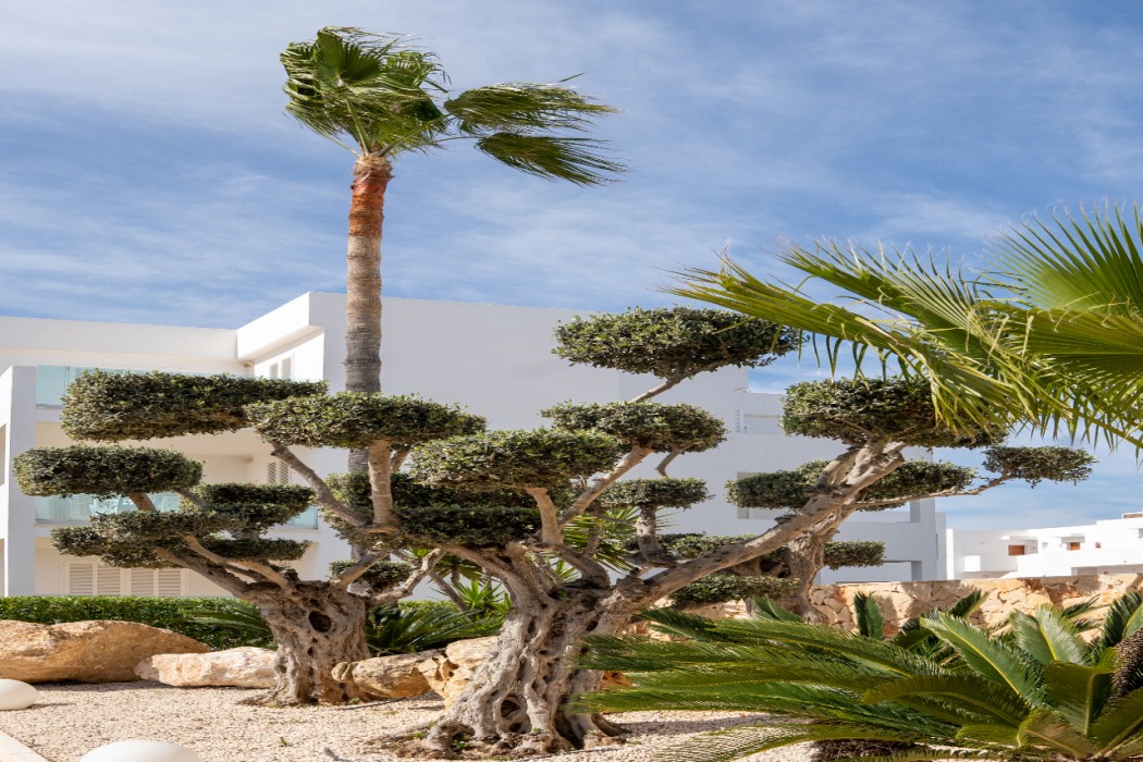 Marsenses Ferrera Blanca Adults Only Hotel 5/150