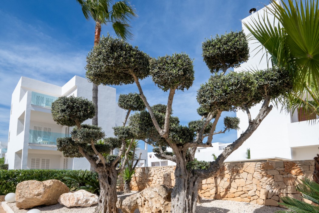 Marsenses Ferrera Blanca Adults Only Hotel 6/150