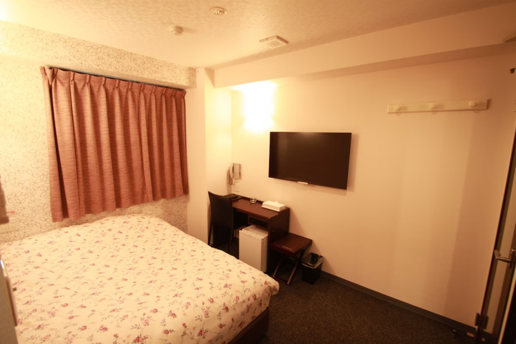 Toyama Town Hotel 18/54