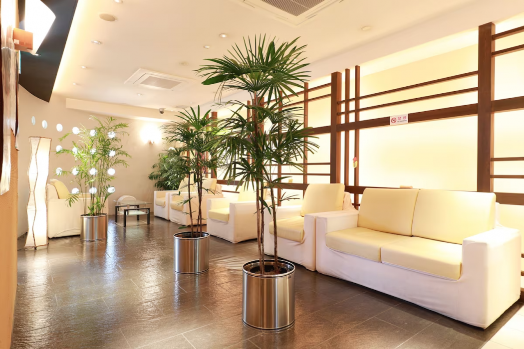 Toyama Town Hotel 8/54