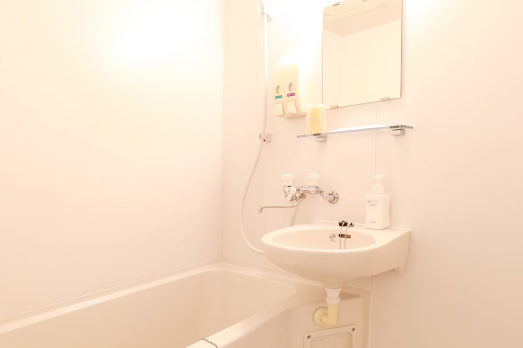 Toyama Town Hotel 15/54