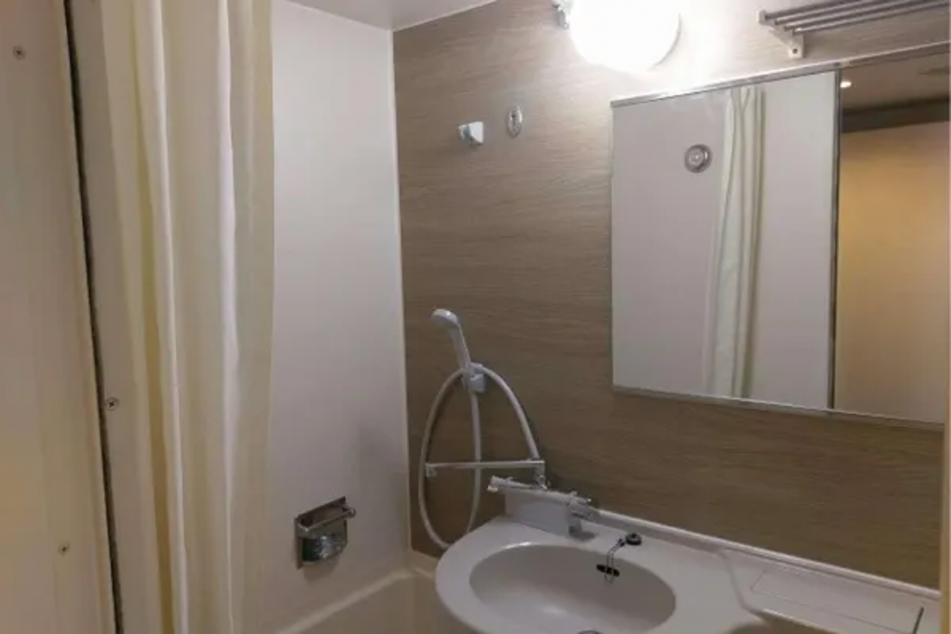Hotel Check In Shimbashi 13/42