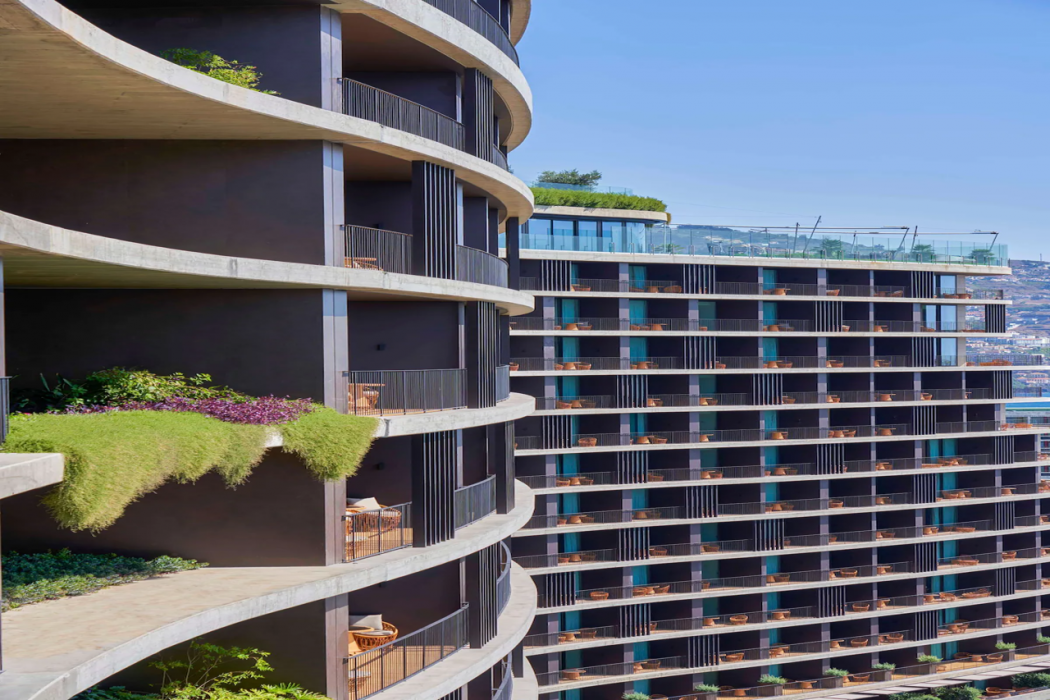 The Reserve by Savoy Signature 1/65