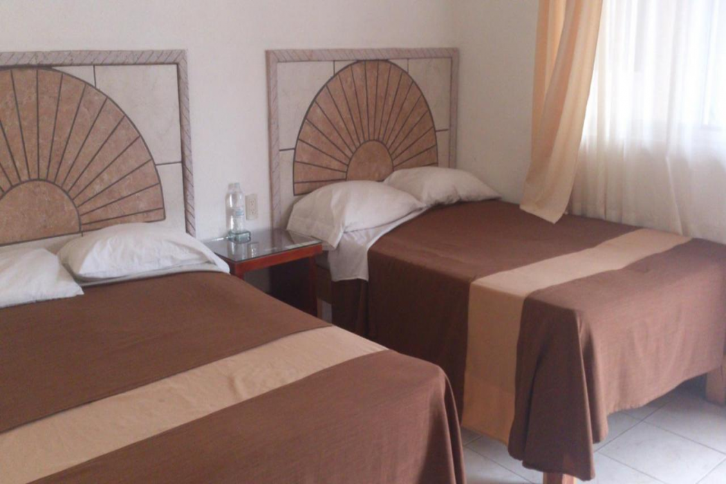 Hotel Albatros Palace 10/24