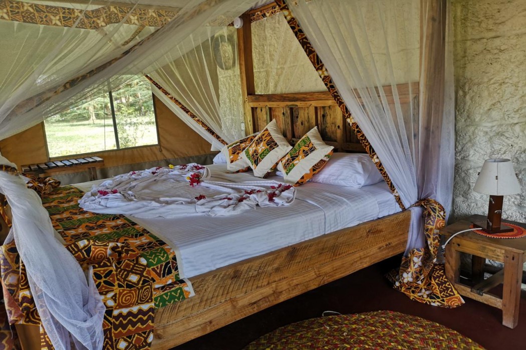 Africa Safari Arusha 9/41