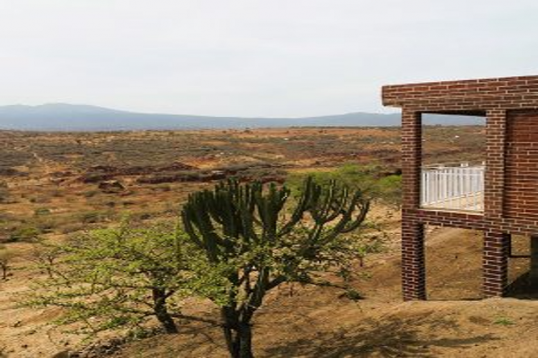 Africa Safari Karatu 1/50