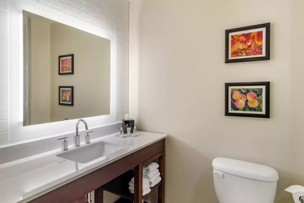 Comfort Suites Newnan GA 24/42