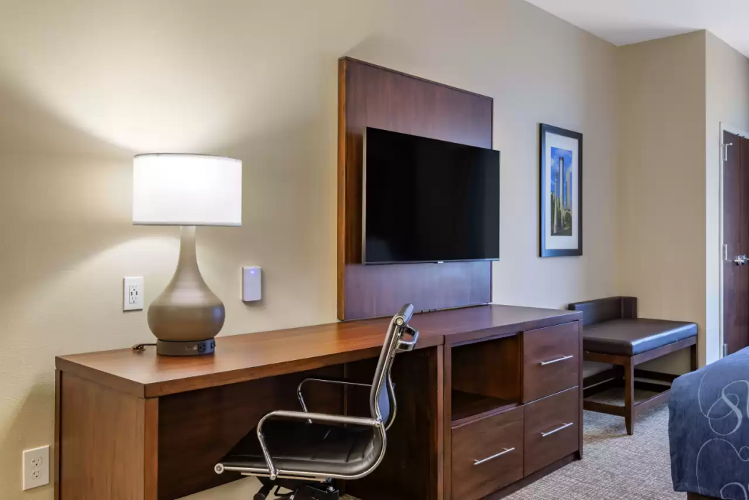 Comfort Suites Newnan GA 13/42