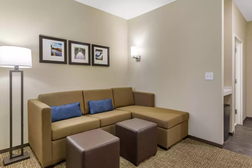 Comfort Suites Newnan GA 18/42
