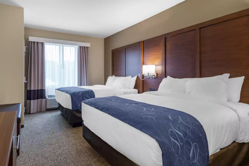 Comfort Suites Newnan GA 10/42