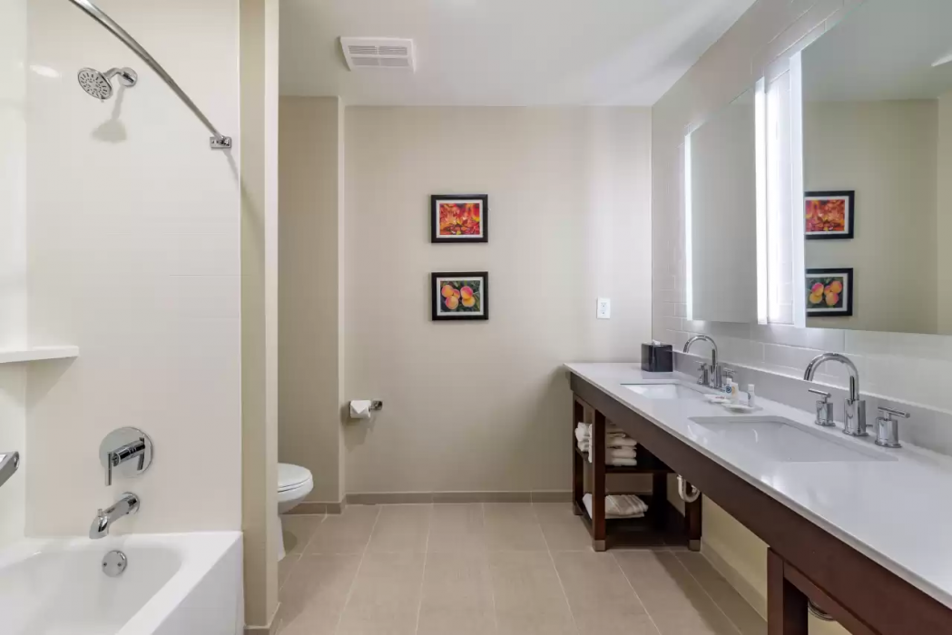 Comfort Suites Newnan GA 21/42