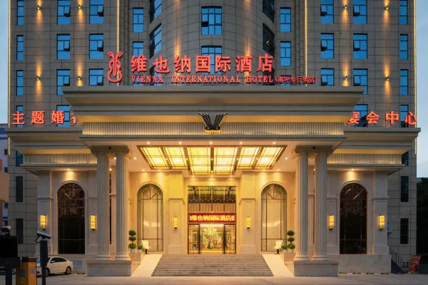 Vienna International Hotel (Chongqing Nanping Pedestrian Street) 2/53