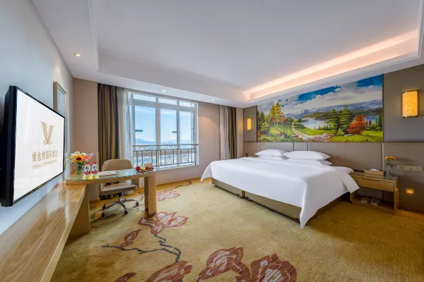 Vienna International Hotel (Chongqing Yufu Industrial Park) 17/42