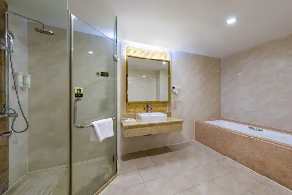 Vienna International Hotel (Shenzhen Songgang Metro Station) 6/17