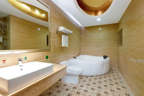 Vienna International Hotel (Shenzhen Songgang Metro Station) 14/17