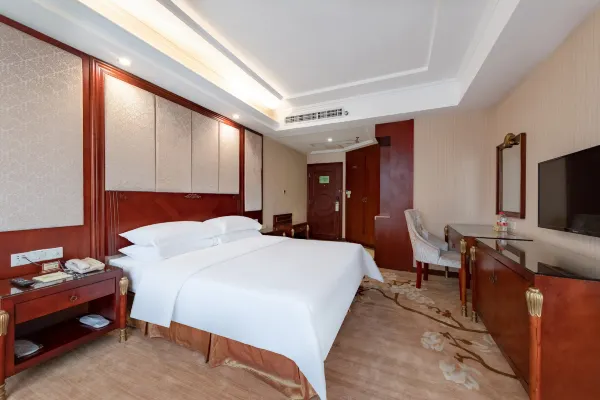Vienna International Hotel (Shenzhen Songgang Metro Station) 12/17