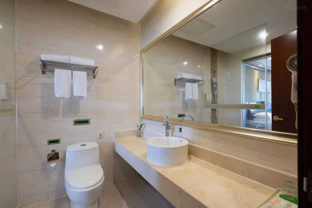 Vienna Hotel (Guangzhou Panyu Nancun) 8/21