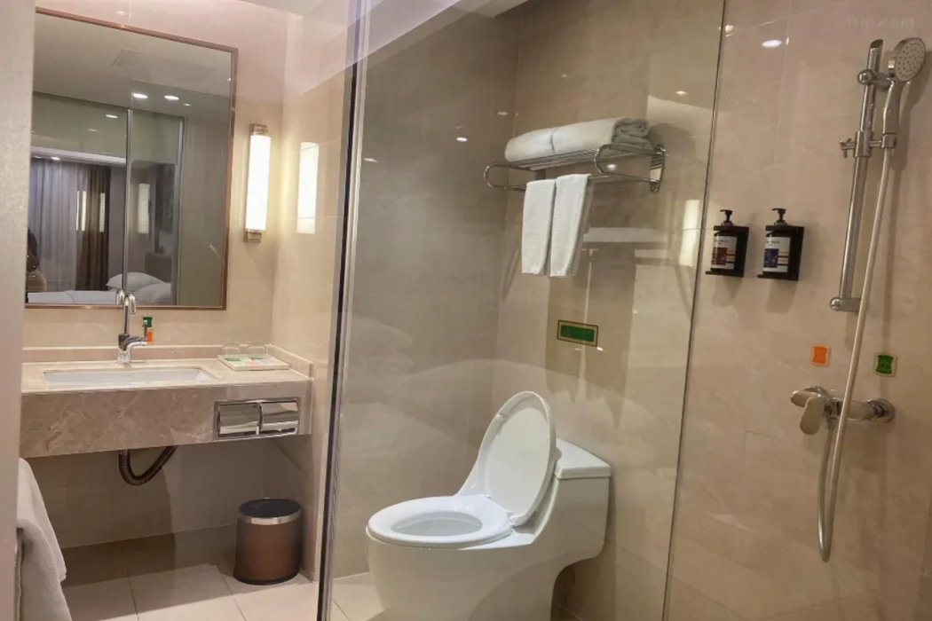 Vienna Hotel (Guangzhou Panyu Plaza) 21/58