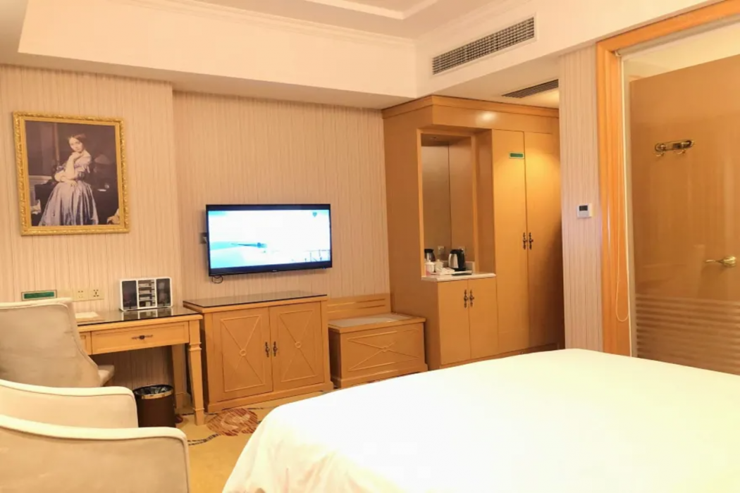 Vienna Hotel (Guangzhou Panyu Yayuncheng) 6/8