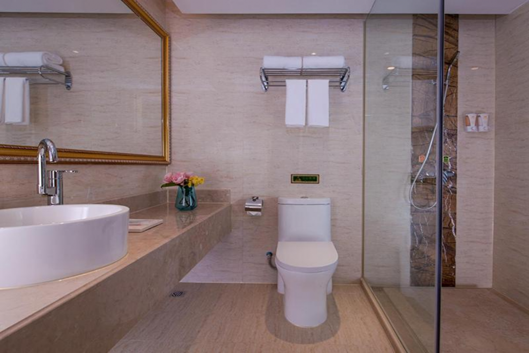 Vienna Hotel (Shenzhen Luofang) 20/37