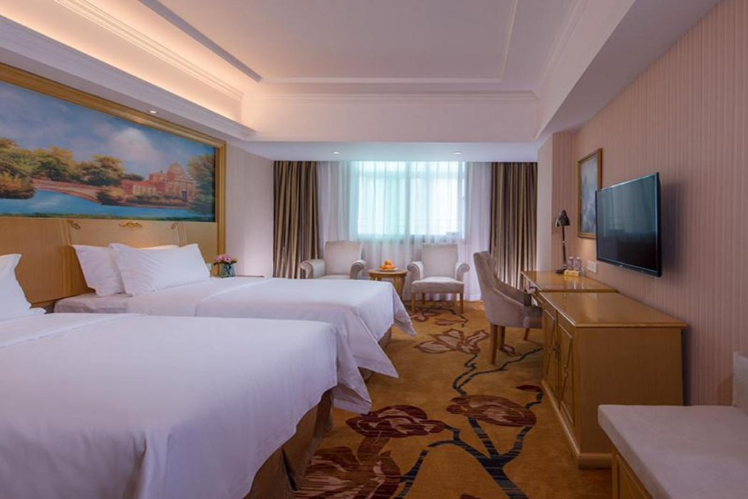 Vienna Hotel (Shenzhen Luofang) 18/37