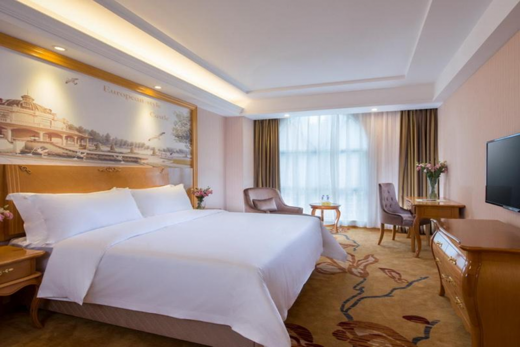 Vienna Hotel (Shenzhen Luofang) 21/37